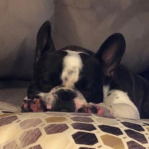 Meet your Posher, Danielle